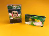 MindSpring Memories - Soul Visioning - Cassette